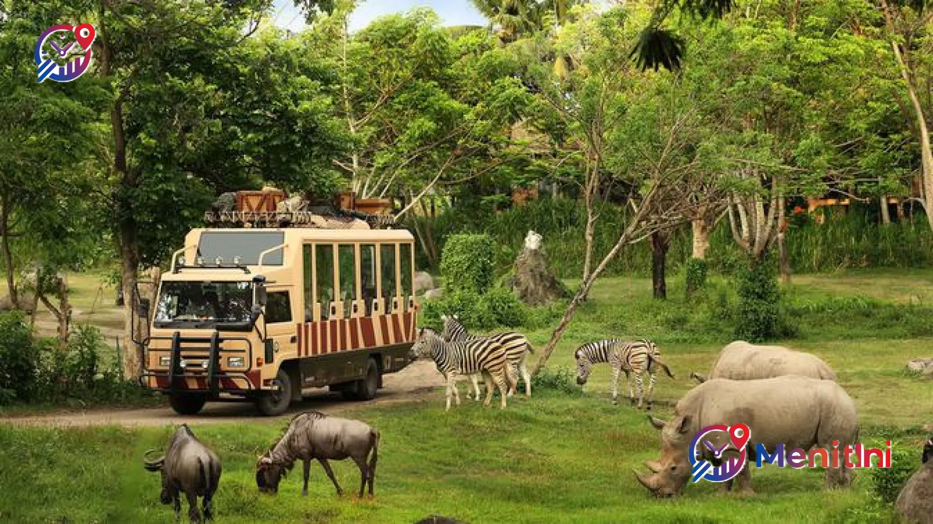 Prahara Pengelolaan Bandung Zoo: Taman Safari Indonesia Desak Transparansi Lelang Demi Nasib Satwa dan Pekerja