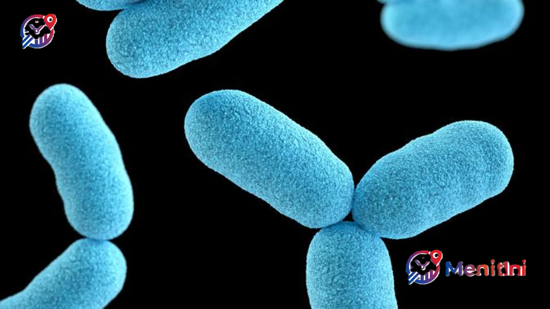 Rahasia Perut Sehat: Mengapa Minuman Probiotik Lebih Ampuh Diminum Setelah Makan?