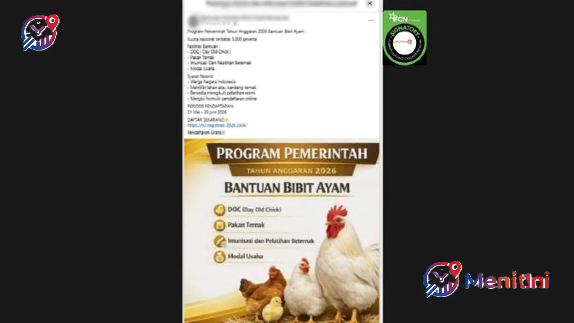 Waspada Penipuan! Hoaks Link Pendaftaran Bantuan Bibit Ayam 2026 Mengincar Data Pribadi