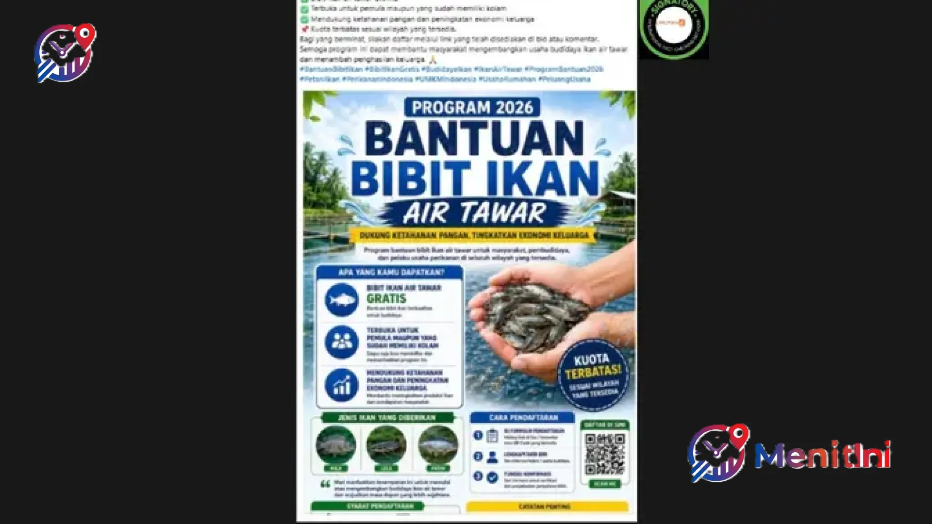 Waspada Penipuan Berkedok Bantuan Bibit Ikan Nila dan Lele Gratis 2026, MenitIni Ungkap Fakta Sebenarnya