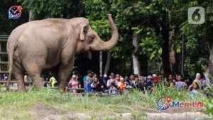 Daftar Lengkap Cuti Bersama Mei 2026: Siapkan Rencana Dua Libur Panjang yang Memanjakan