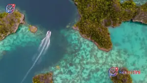 Permata Hitam Papua Mendunia: Raja Ampat Dinobatkan Sebagai Destinasi Selam Terbaik Versi BBC