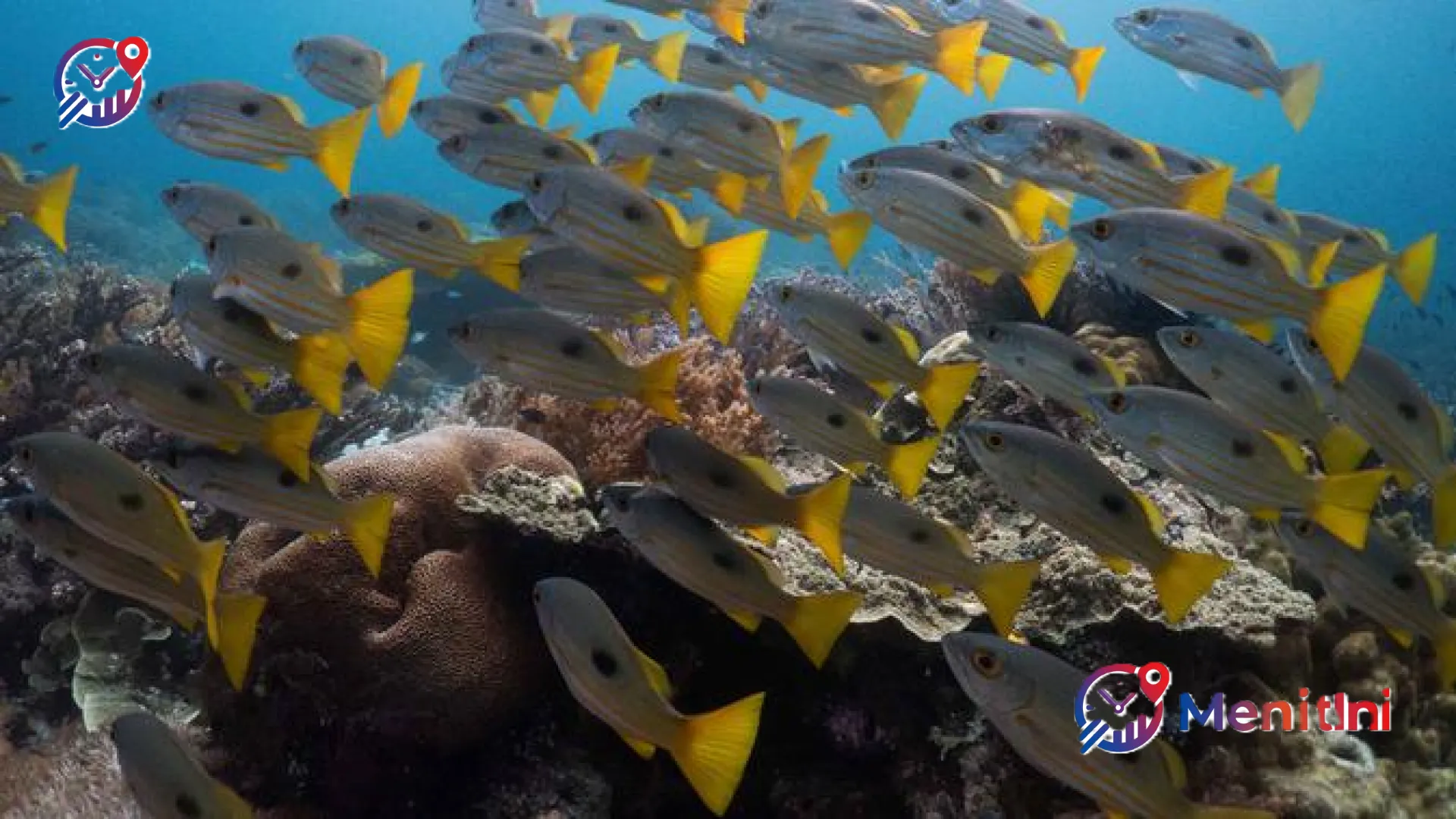 Raja Ampat Raih Predikat Dunia hingga Debut Glamor Jennifer Lopez di Coachella: Rangkuman Kabar Populer