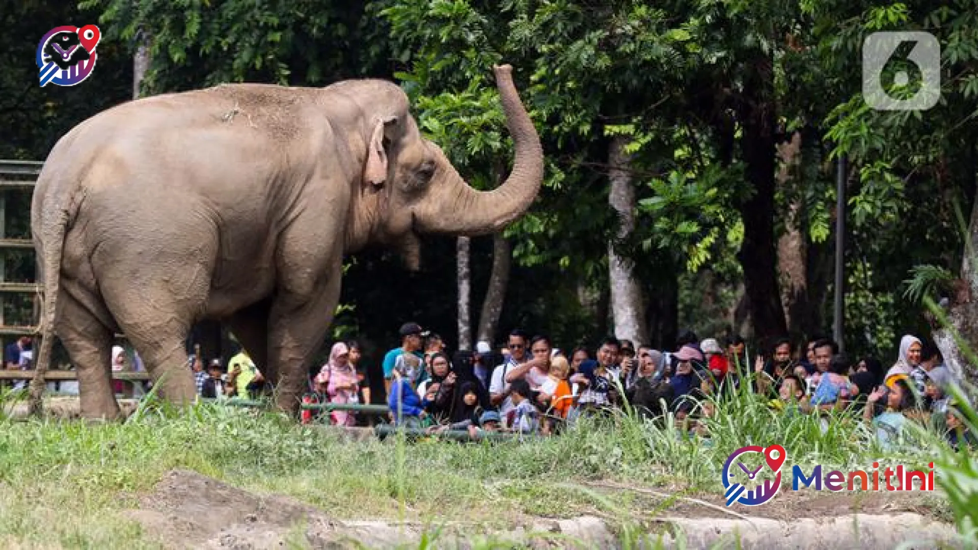 Siap-Siap Long Weekend! Catat Jadwal Resmi Cuti Bersama dan Hari Libur Nasional Mei 2026